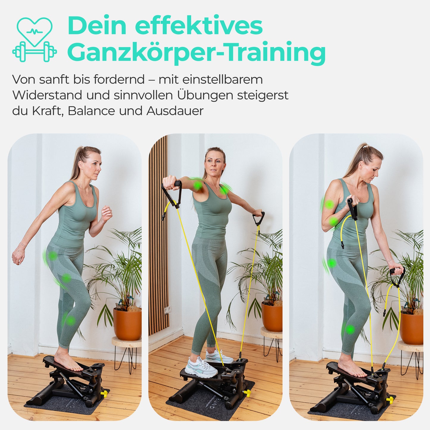 LANDWEHR Stepper -  Fitness, die zu dir passt!